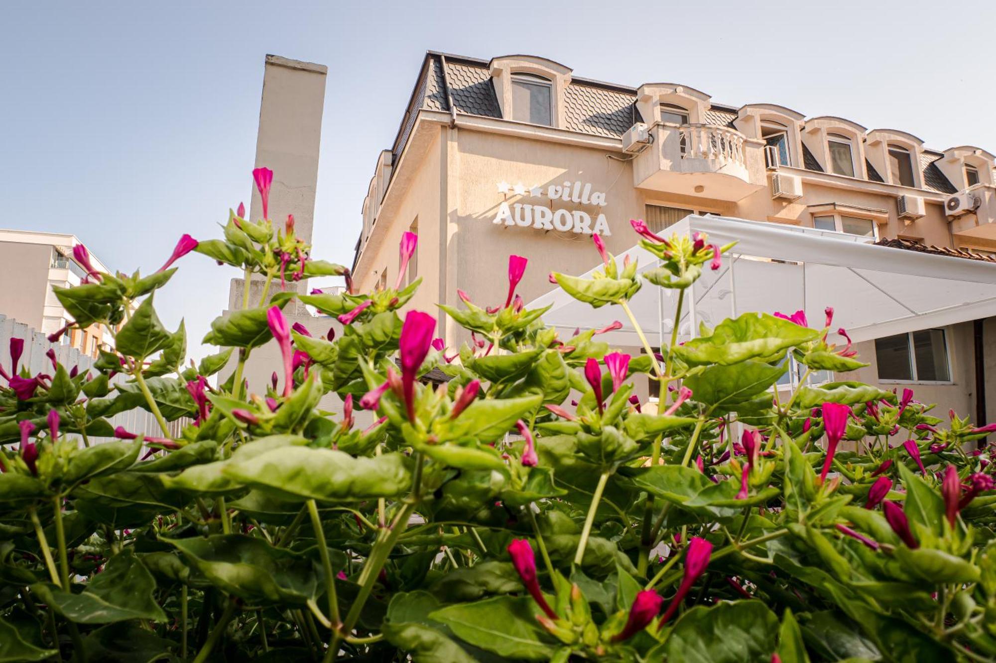 סנט קונסטנטין והלנה Villa Aurora מראה חיצוני תמונה